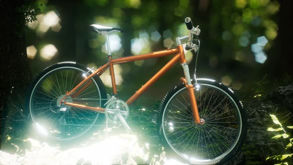 Mountain Bike on the Forest Path