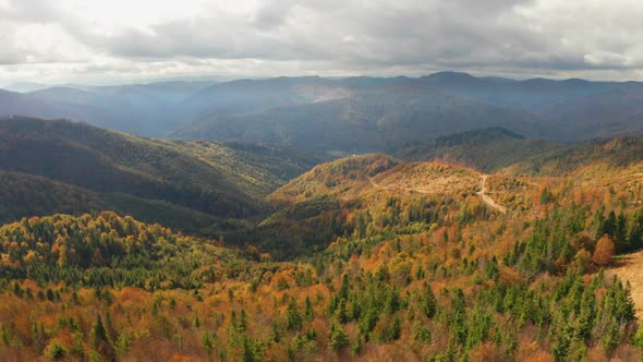 Beautiful Autmn Forest Shining at Sunset, Flying Above Colorful Mountain Flora