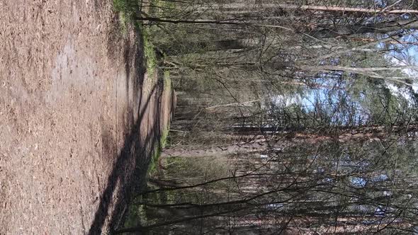 Vertical Video of a Road in the Forest Slow Motion