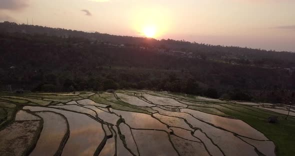 AERIAL: Rice terraces in Lombok Indonesia