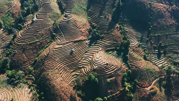 Ban Pa Pong Piang Rice Terraces or Baan Pa Pong Pieng in Doi Inthanon National Park Chiang Mai