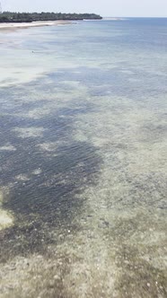 Vertical Video of Low Tide in the Ocean Near the Coast of Zanzibar Tanzania