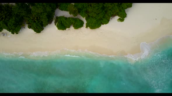 Aerial above landscape of perfect coastline beach wildlife by blue sea and white sandy background of