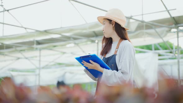 Asian young beautiful woman farmer work in vegetables hydroponic farm.