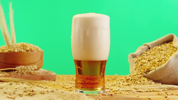 Foamy Beer in Glass Closeup