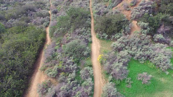 Aerial shot of a young man trail running on a scenic hiking trail.