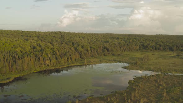 Aerial over Shirley bog sunset dense wilderness