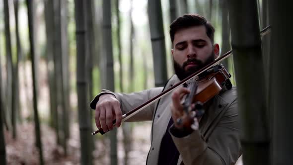 Romantic Melody in Forest Man is Playing Violin in Bamboo Grove Rehearsing in Nature