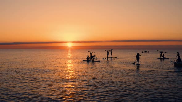 Silhouette of People Training Stand up Paddle at Sunrise