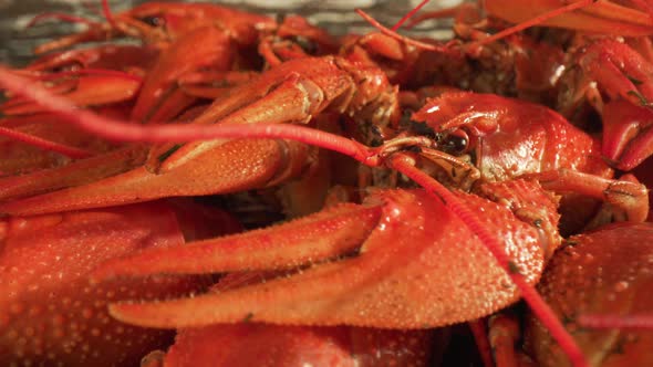 Boiled Crayfish