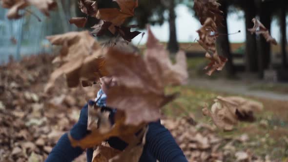 Boy Throwing Leaves in Autumn Slow Motion