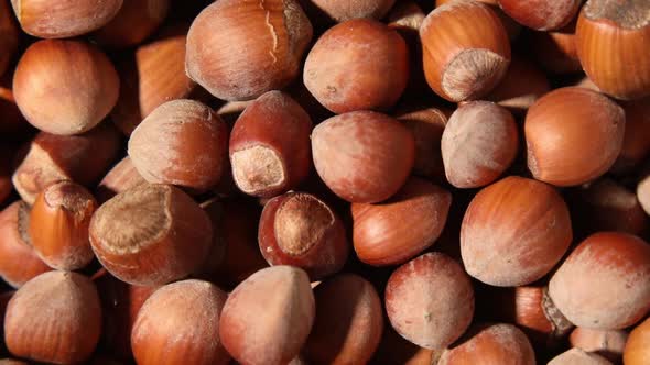 Rotation macro Fresh hazelnut harvest, top view, close up