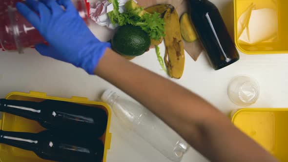 Eco Volunteer in Gloves Sorting Trash in Different Boxes, Recycling, Time-Lapse