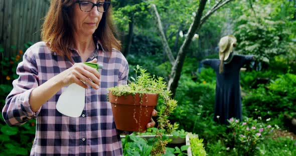 Mature woman watering plants in the garden 4k