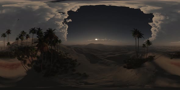 VR 360 Degree Aerial Panorama of Palms in Desert