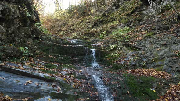 Waterfall in a forest