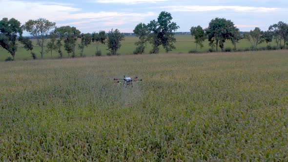 Spray Drone Corn