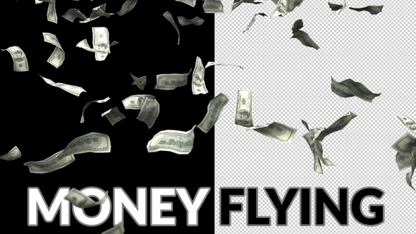 3D Money Flying