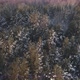 Winter In A Forest - VideoHive Item for Sale