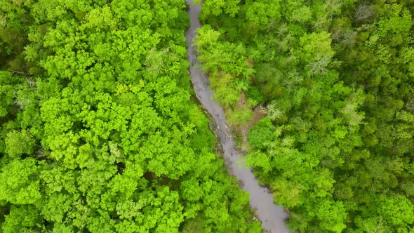 Columbia, Missouri Lush Forests with River - Aerial Nature Overhead View