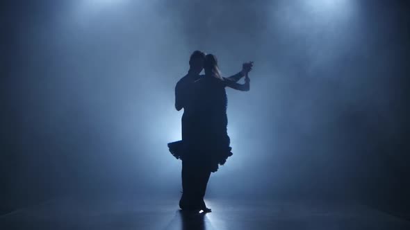 Dance Cha-cha-cha Performed By Professional Couple in Smoky Studio, Silhouette