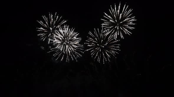 Various Fireworks in the Night Sky, Isolated on Black Background