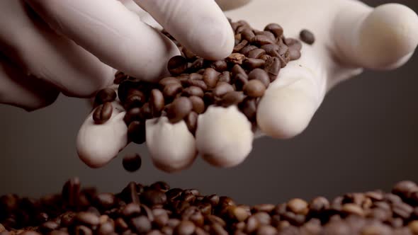 Coffee Seeds Lying Hand Close Up