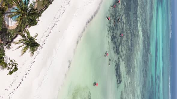 Vertical Video of the Ocean Near the Coast of Zanzibar Tanzania Aerial View