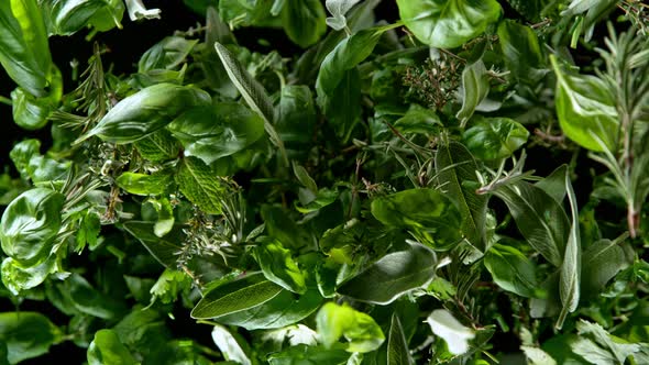 Super Slow Motion Shot of Flying Tasty Green Herbs Isolated on Black Background at 1000 Fps