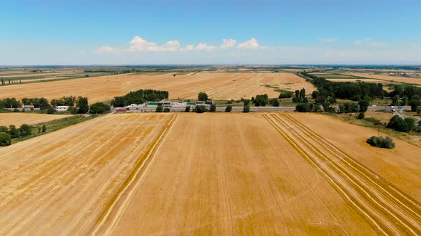 Aerial view of ripe barley fields