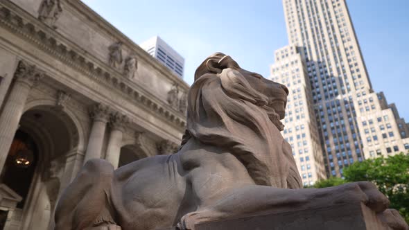 New York Public Library 14