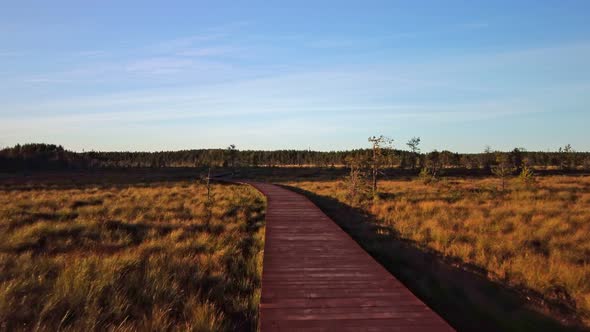 Wooden Trail in the Middle of a Swamp a Road for Hiking in a Park of Natural Origin