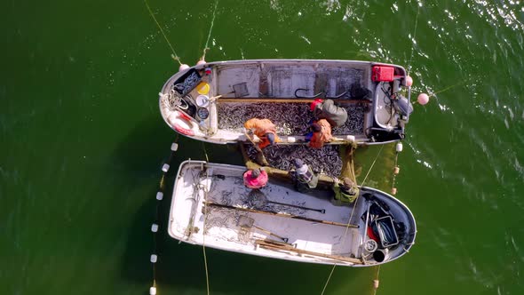 Aerial View to the Baltic Sea with the Fish Traps and Fishers