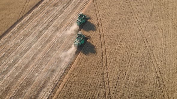 Aerial View on the Harvesters Working on the Large Wheat Field. Harvesting Agricultural Golden Ripe