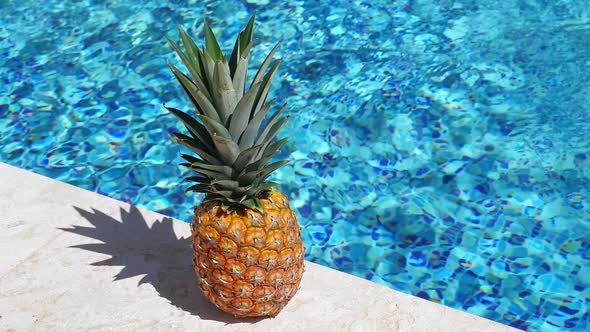 Pineapple Near Swimming Pool at Poolside