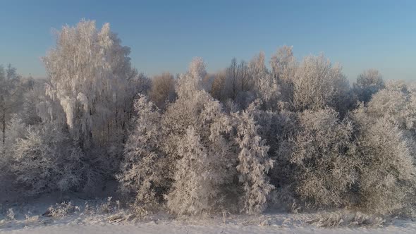 Winter Landscape Countryside