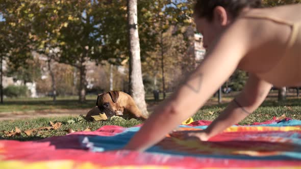 Sporty woman doing yoga exercises while her dog plays with leaves on the grass in the park