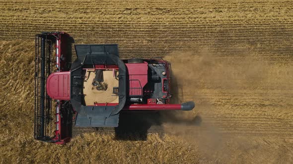 Aerial View Top View of Combine Harvester Working on a Wheat Field in Slow Motion