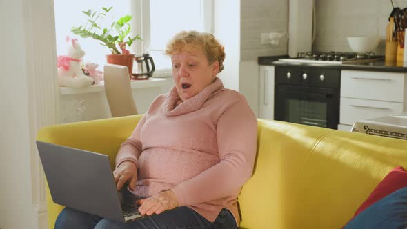 Elderly Woman Sitting on the Couch in the Living Room Has the Laptop in Her Hand