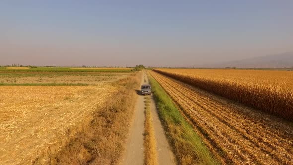 Car on dirt road next to fields.