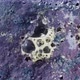 Blue and Purple Paint Bubbling and Spewing - VideoHive Item for Sale