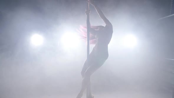 Dance and Acrobatics Concept. Sexy Woman Pole Dancing in Dark Interior with Lights and Smoke