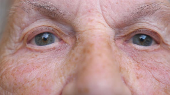 Portrait of Elderly Woman Watching Pensive Into Camera