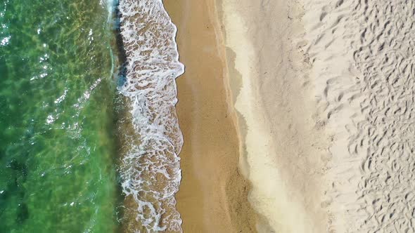 Tropical Beach and Waves