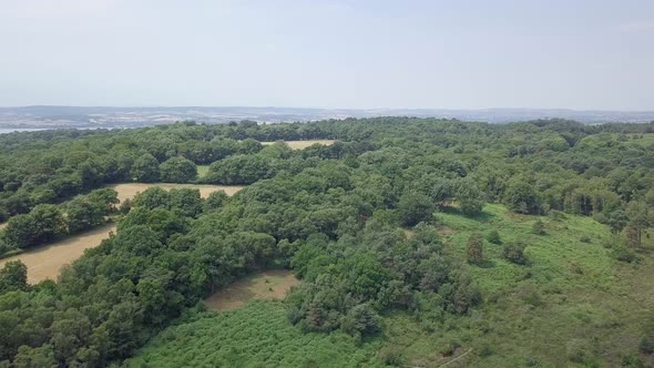 Aerial Pan of a forest landscape in Devon, UK