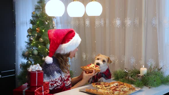 A girl in a festive cap at the table treats a dog in a red shirt with pizza