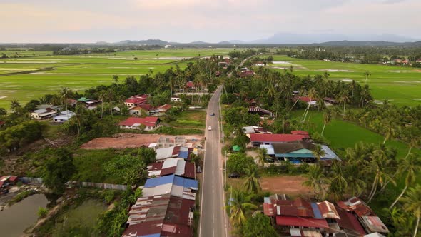 Aerial view Malays village planted with coconut trees