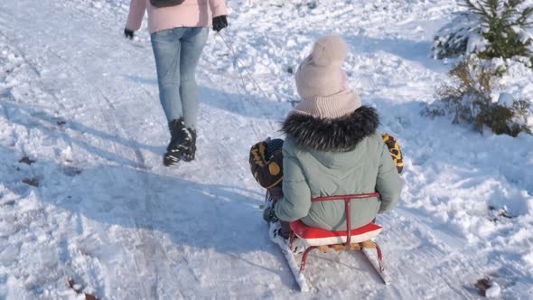 Playful sledding time.