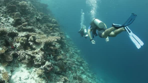 Diving Along Coral Reef