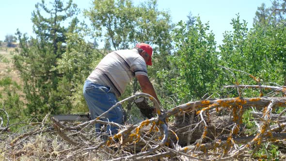 Man Cutting Wood with Saw